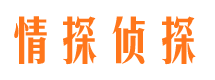 潮南调查公司